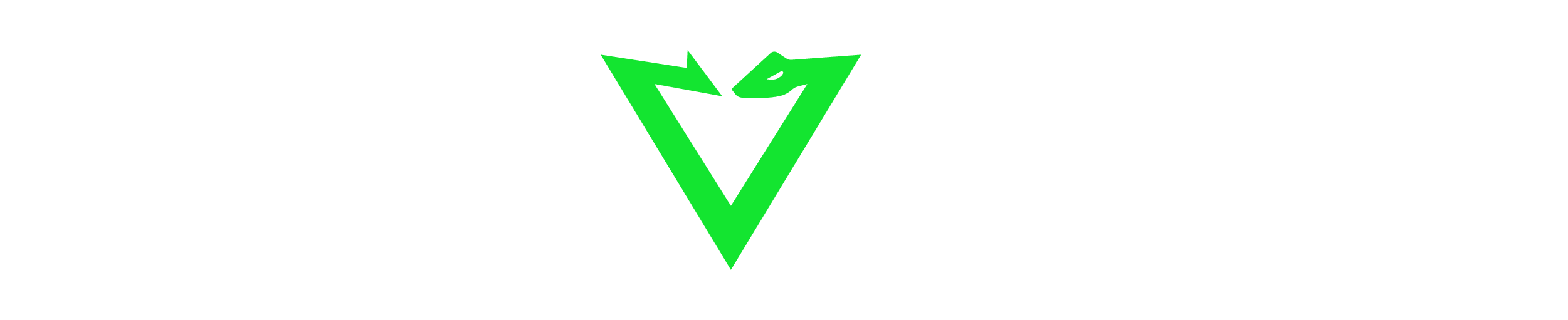 NetViper Logo